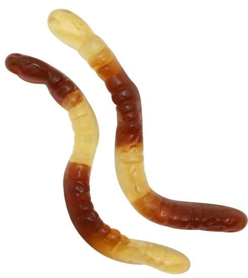 Cola Wormen
