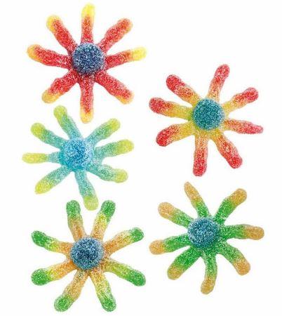 Zure Octopus